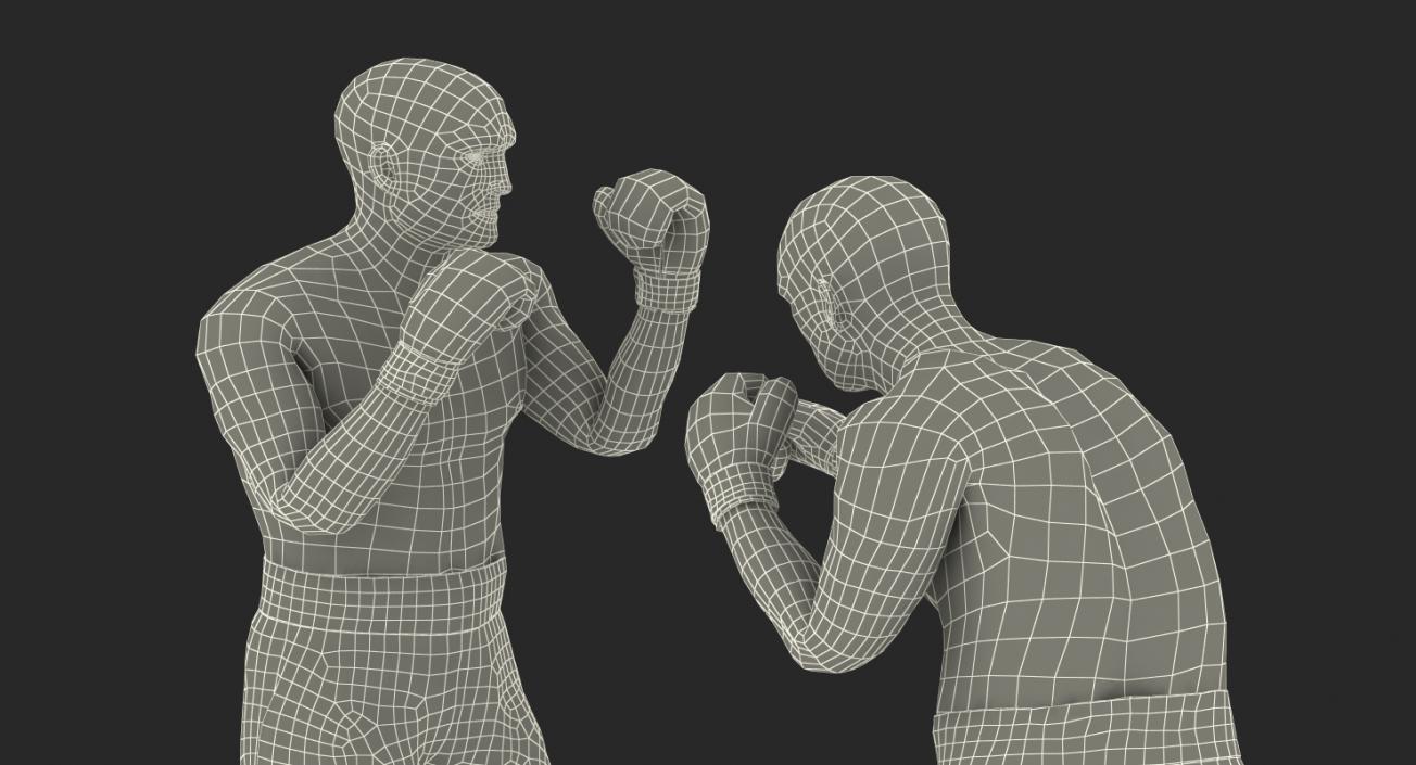 3D model Two Boxers