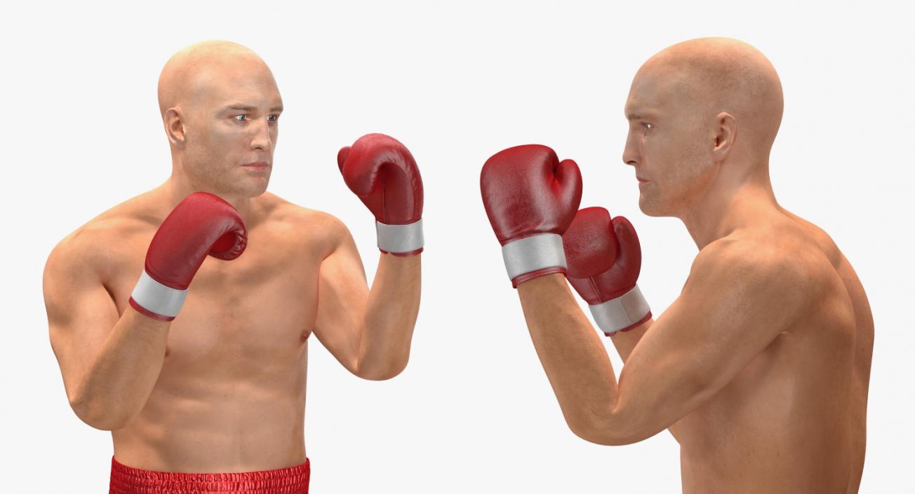 3D model Two Boxers