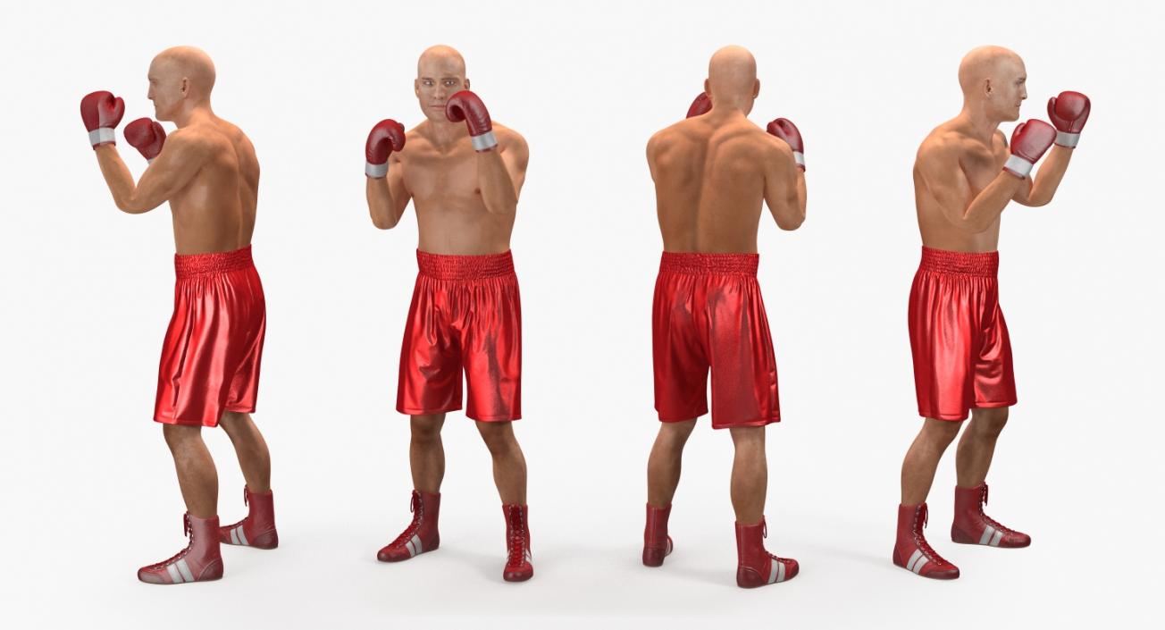 3D model Two Boxers