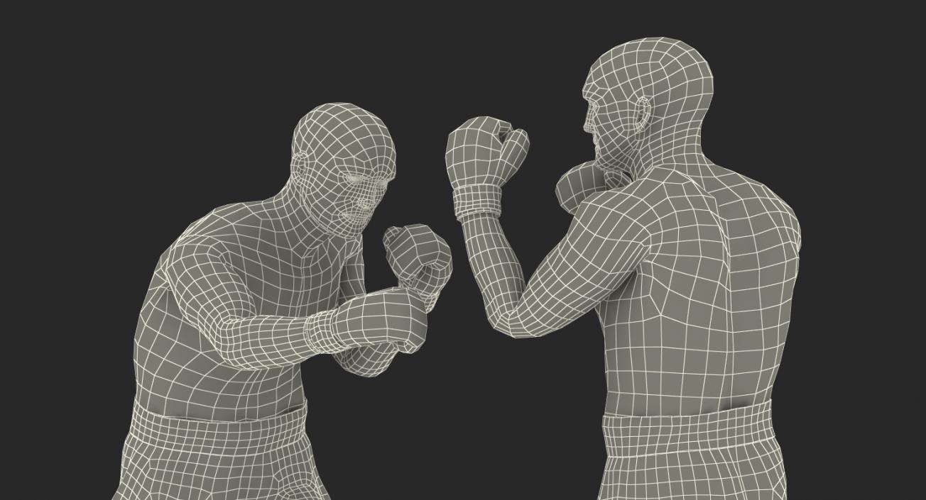 3D model Two Boxers