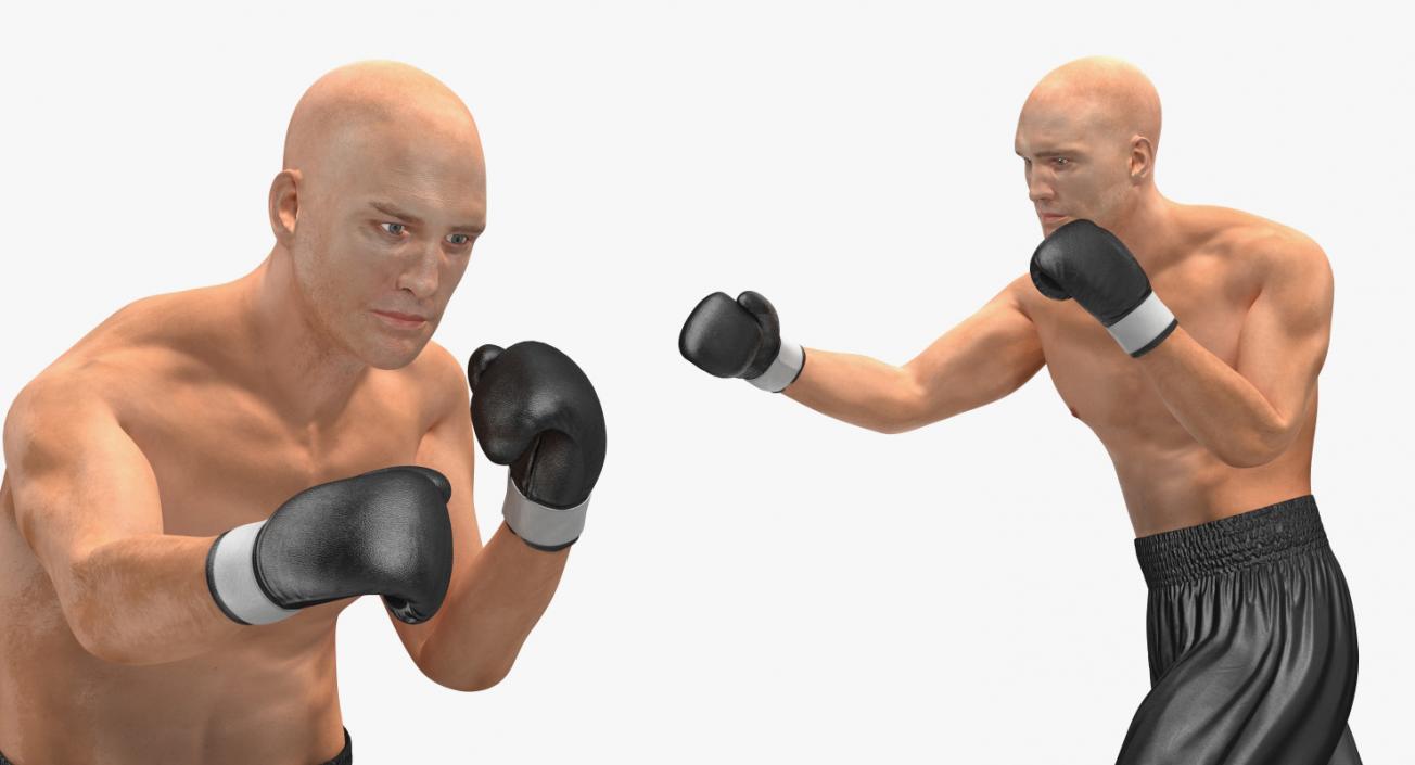 3D model Two Boxers