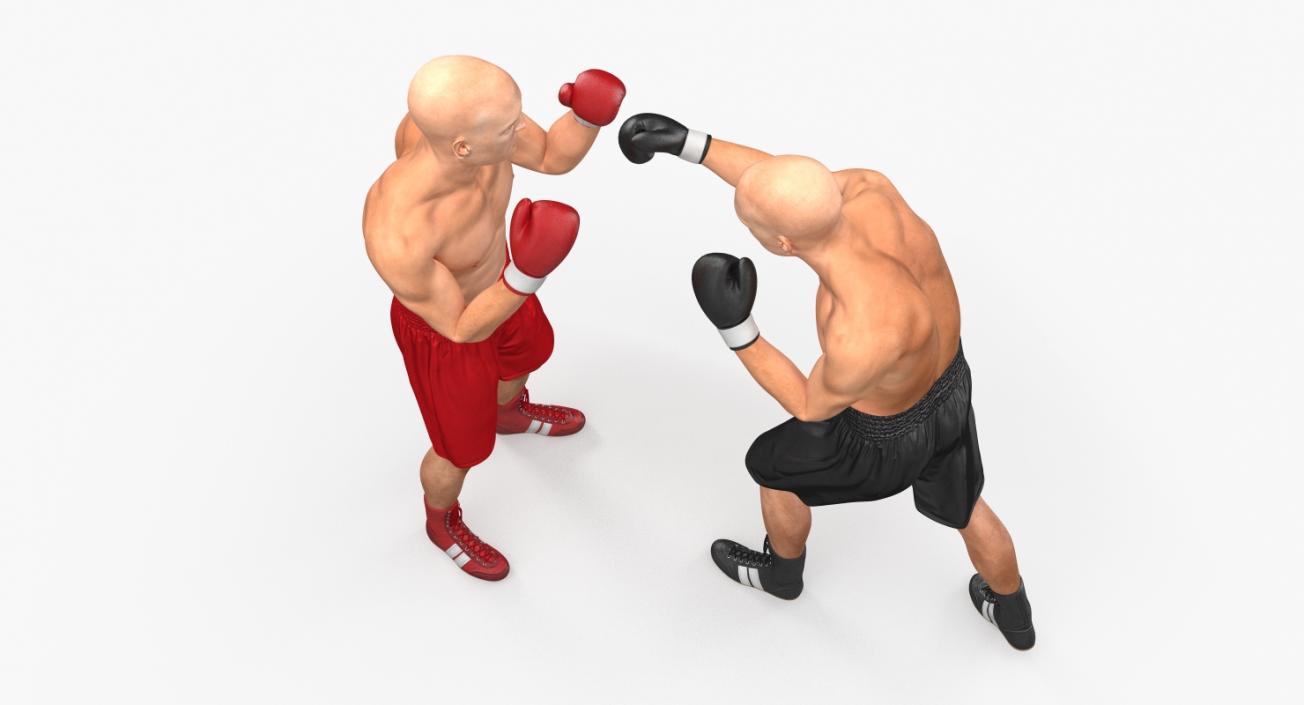 3D model Two Boxers