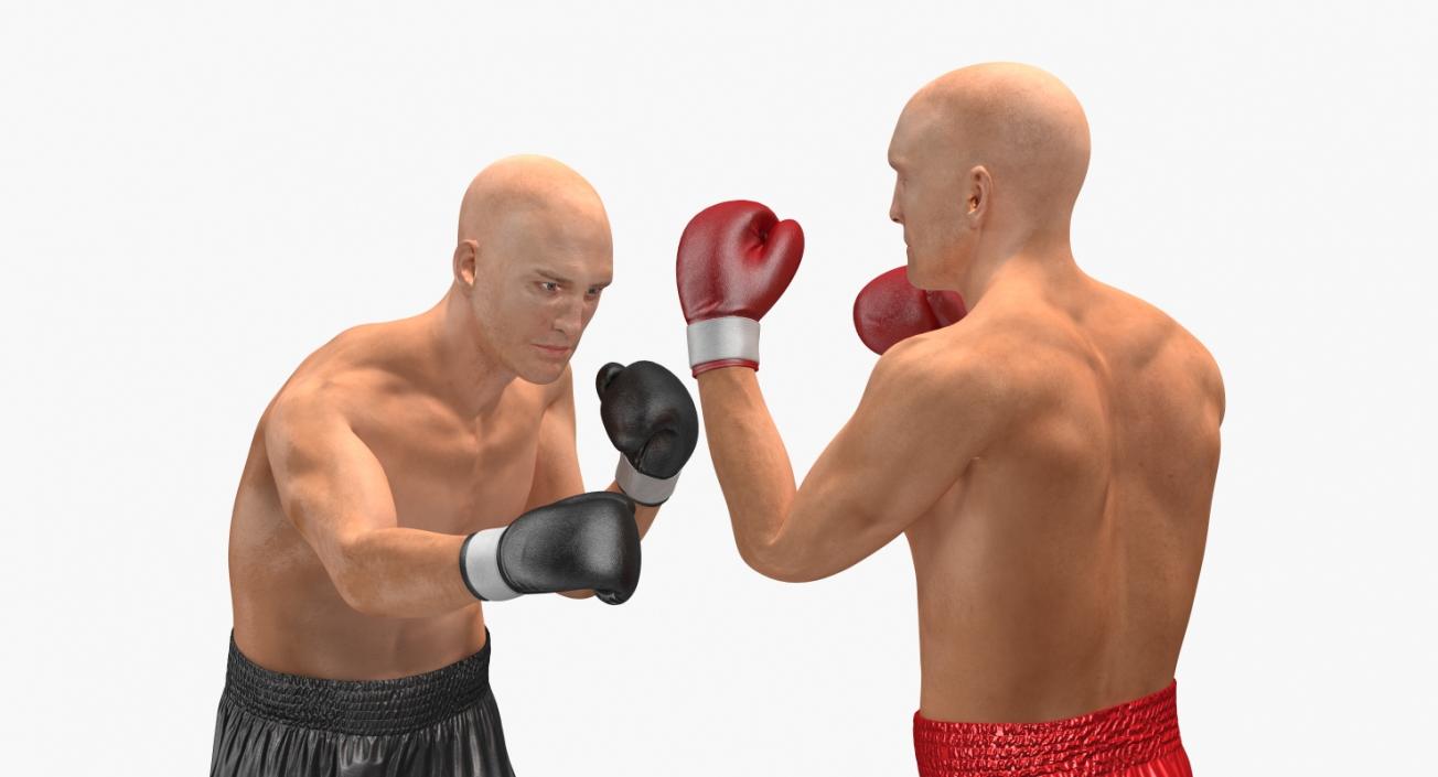 3D model Two Boxers