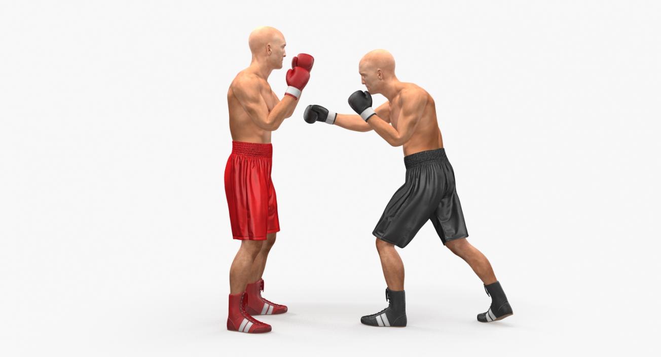 3D model Two Boxers