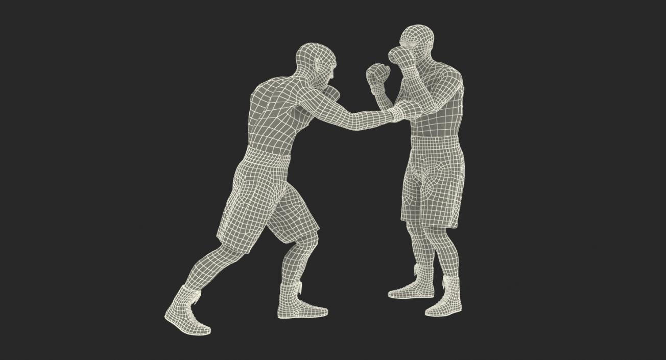 3D model Two Boxers