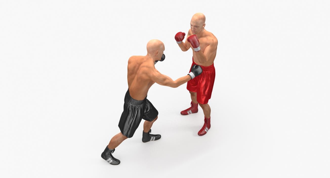 3D model Two Boxers