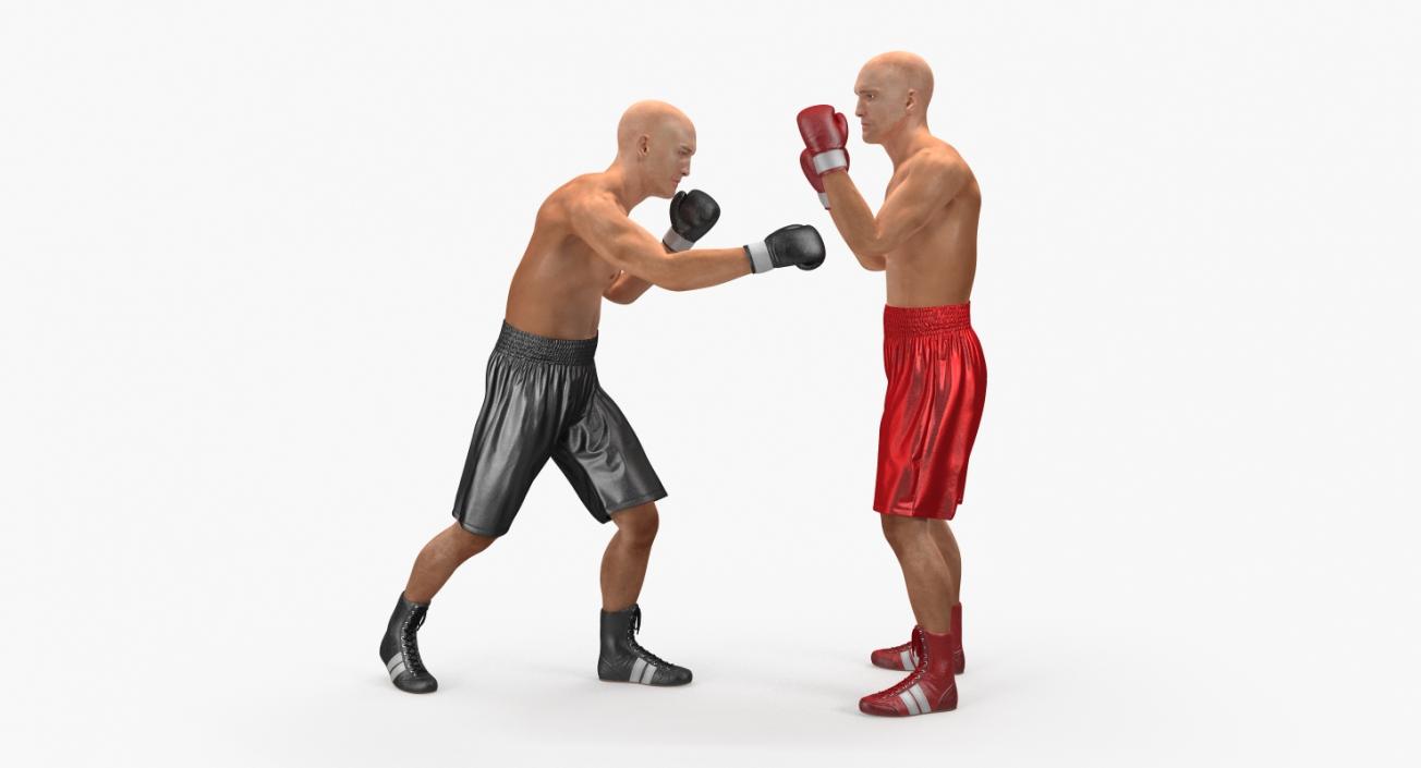 3D model Two Boxers