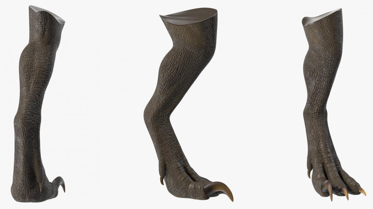 Indoraptor Leg 3D model