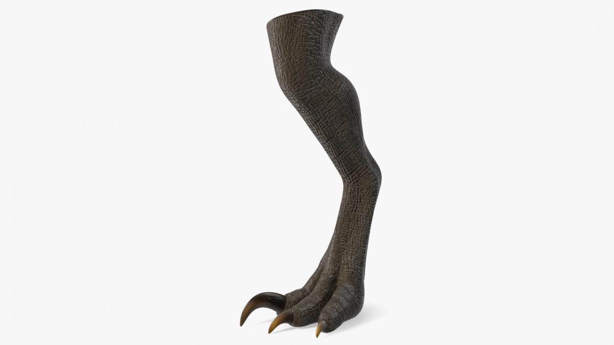 Indoraptor Leg 3D model