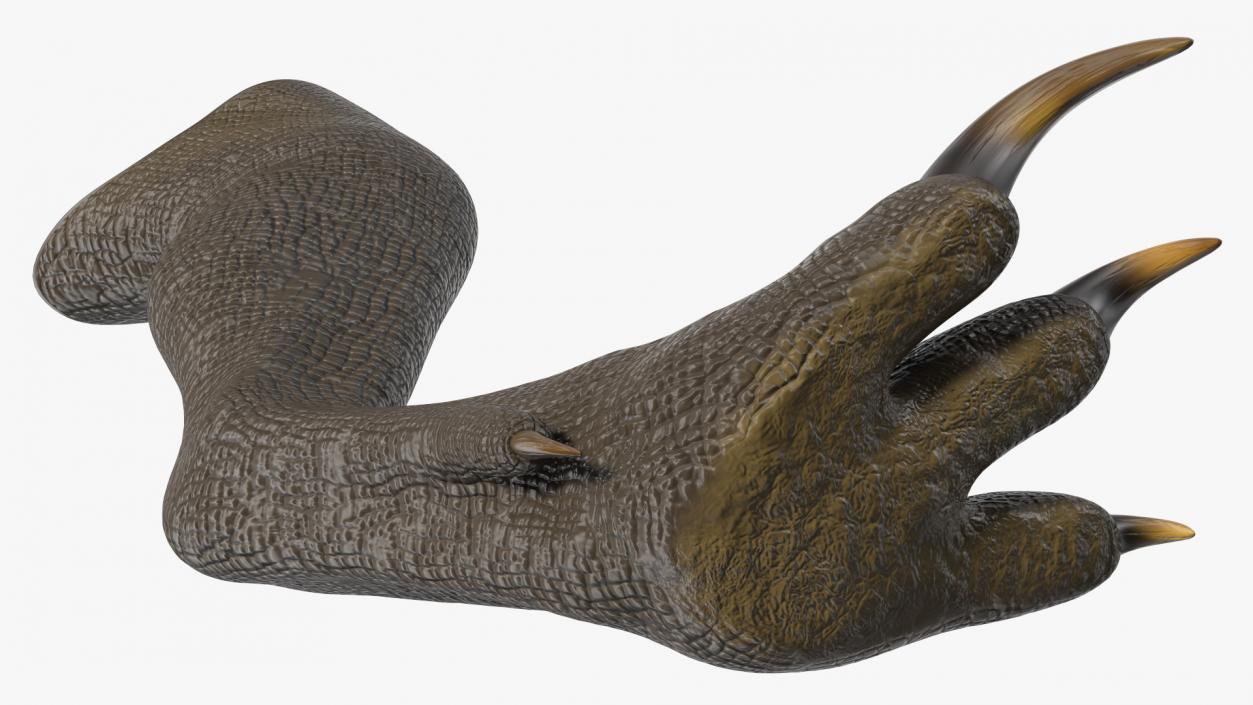 Indoraptor Leg 3D model