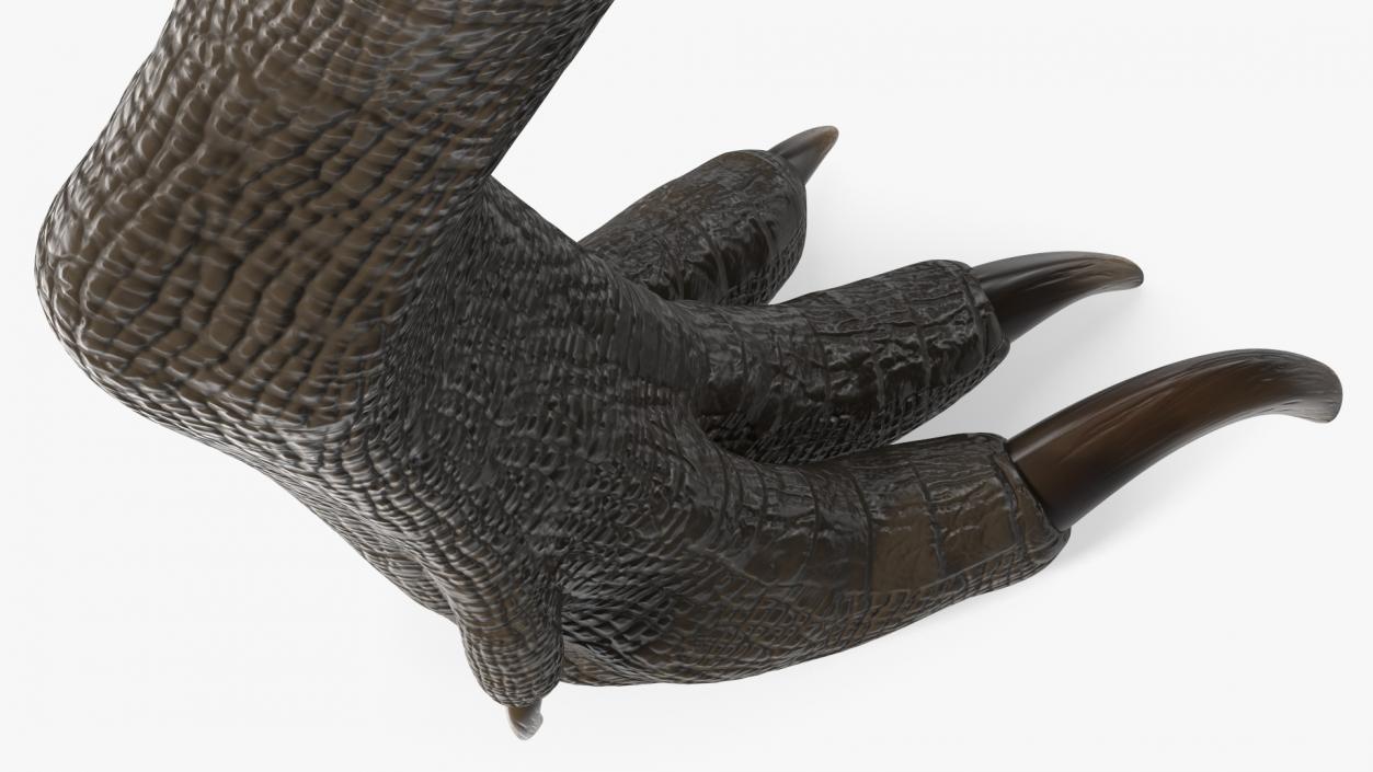 Indoraptor Leg 3D model