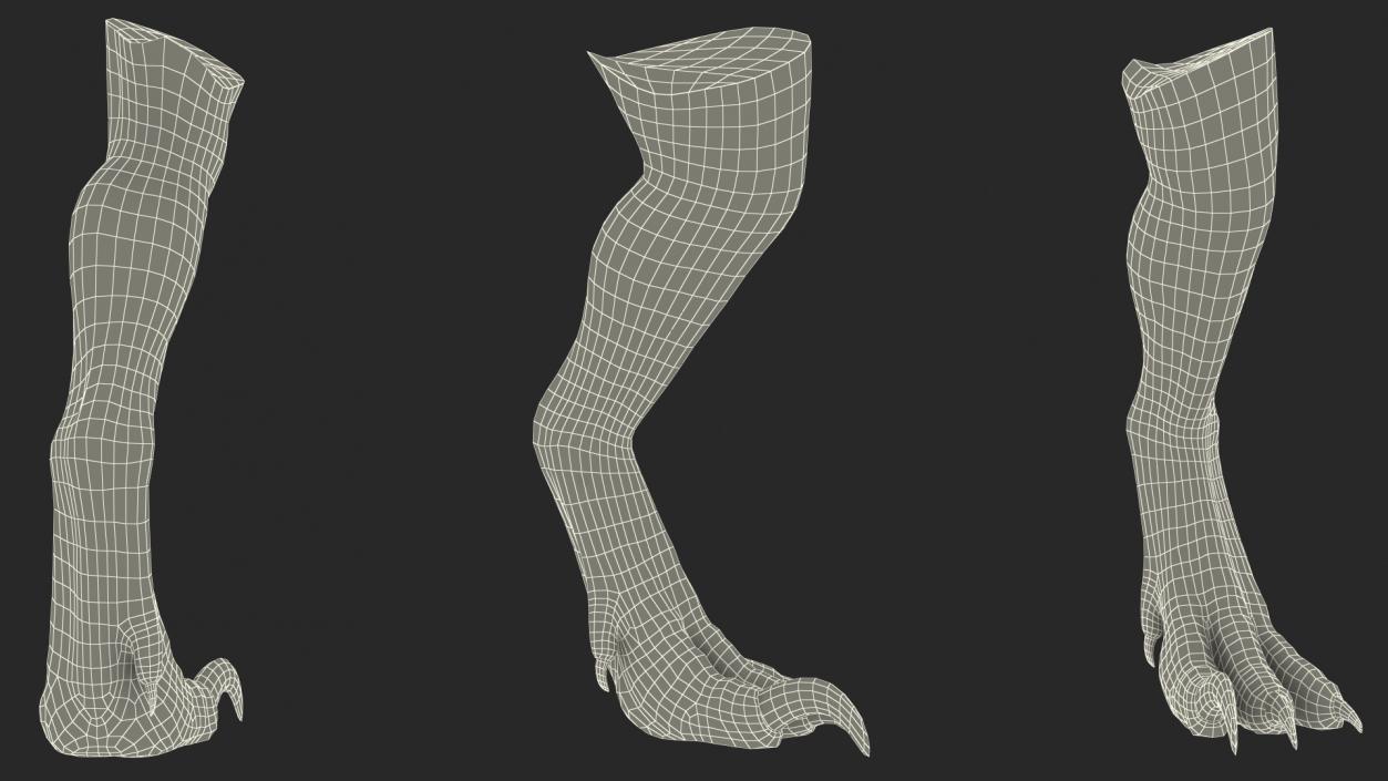 Indoraptor Leg 3D model