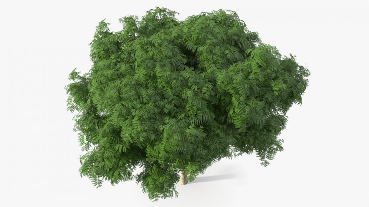 Copperpod Tree 3D model