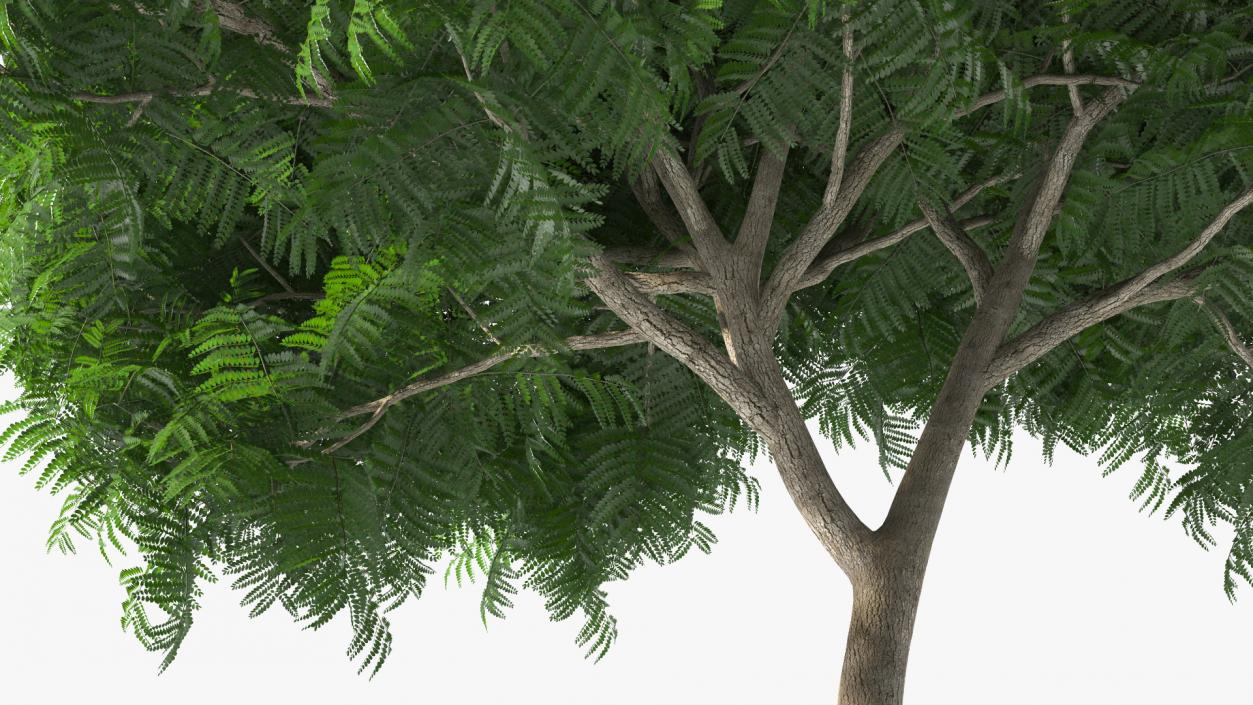 Copperpod Tree 3D model