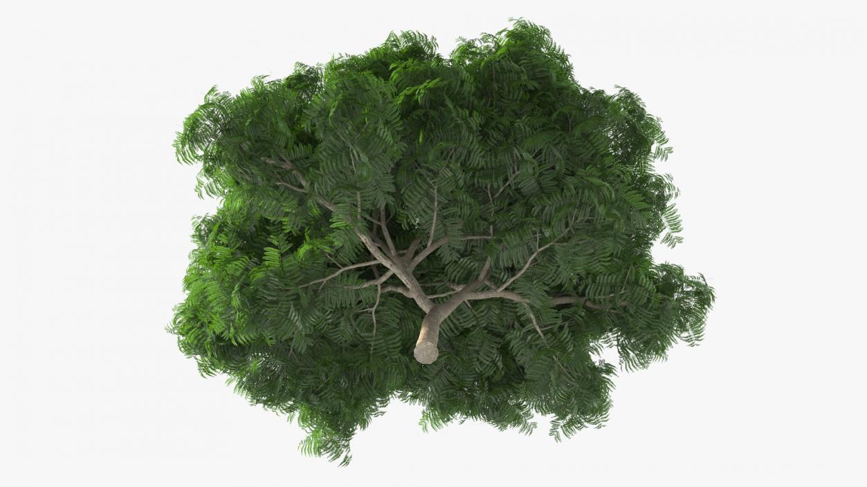 Copperpod Tree 3D model