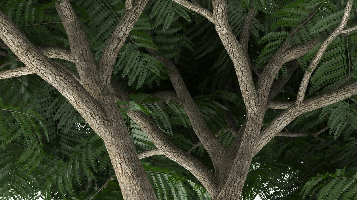 Copperpod Tree 3D model