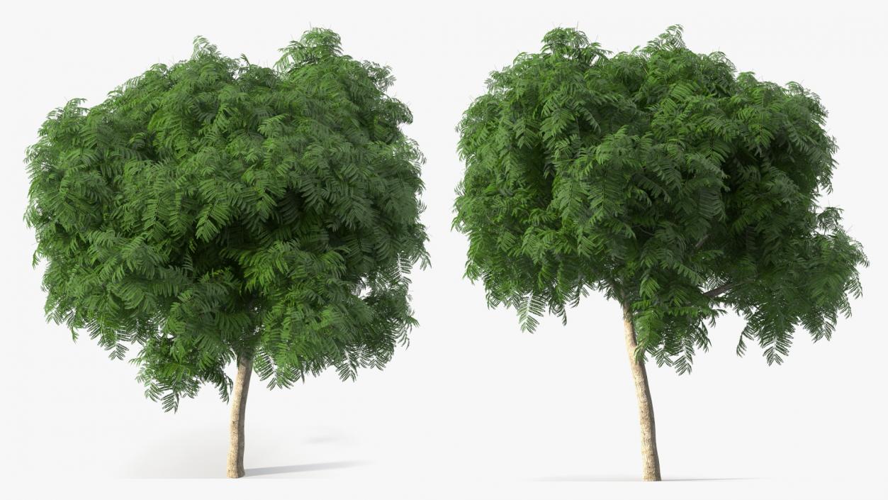 Copperpod Tree 3D model