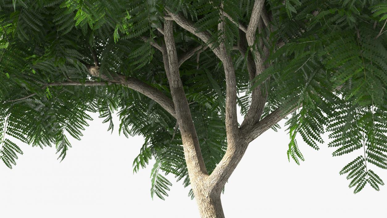 Copperpod Tree 3D model