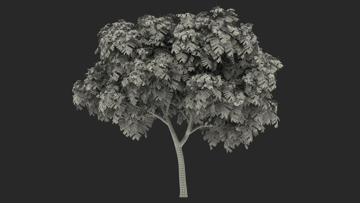 Copperpod Tree 3D model