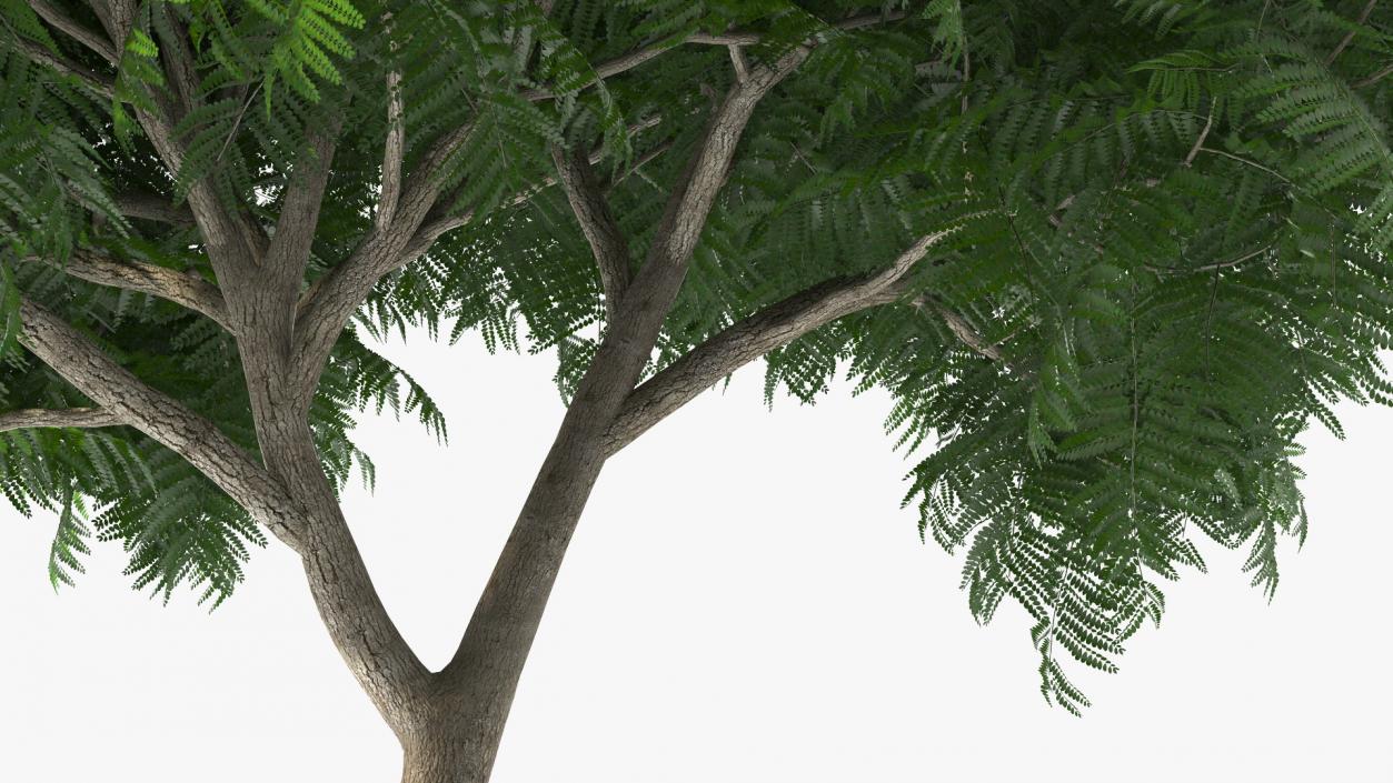 Copperpod Tree 3D model