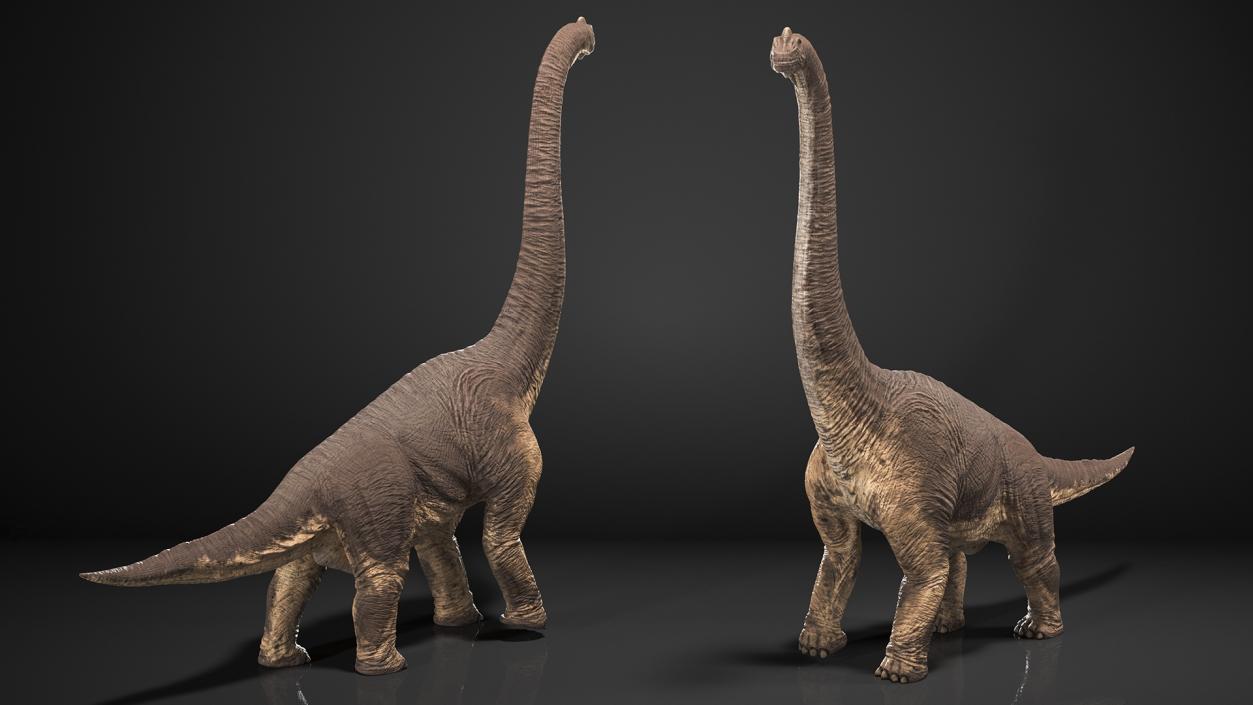 3D Brachiosaurus Walking Pose