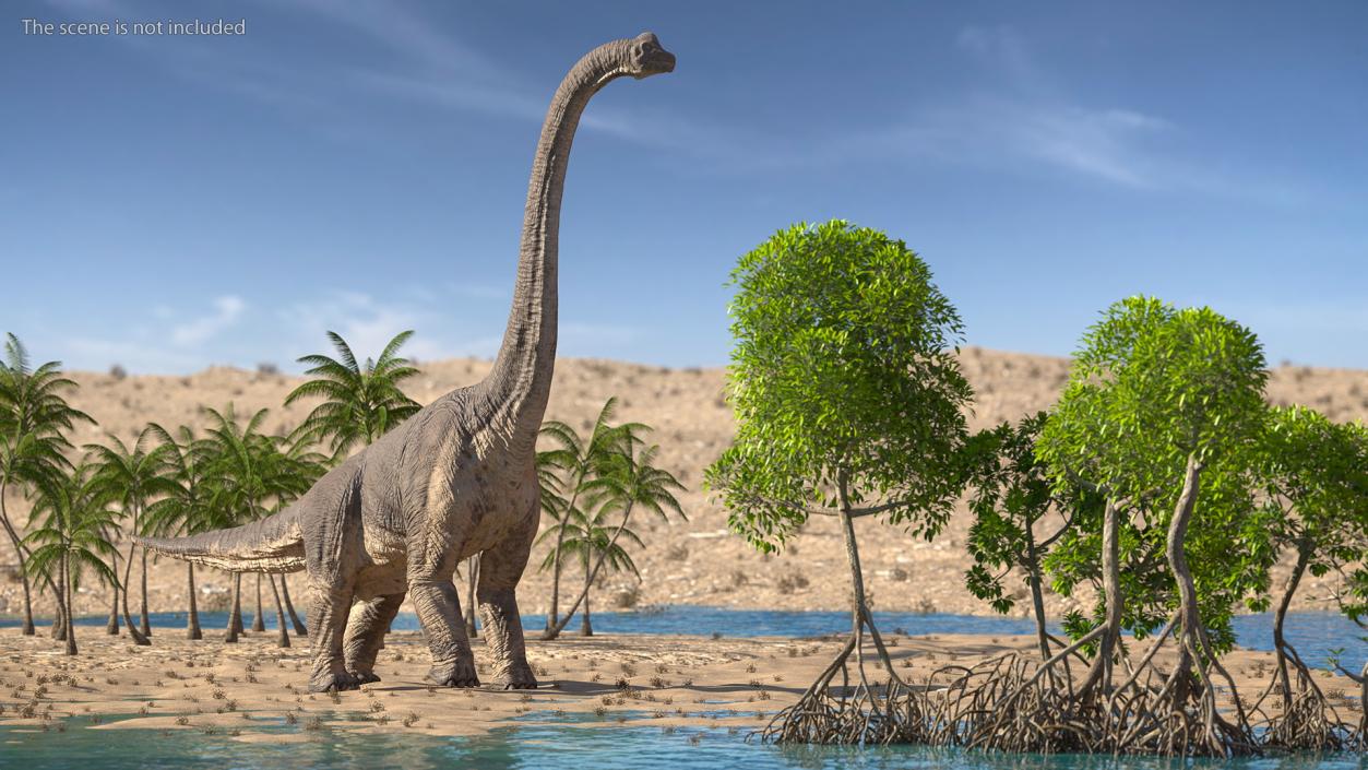 3D Brachiosaurus Walking Pose