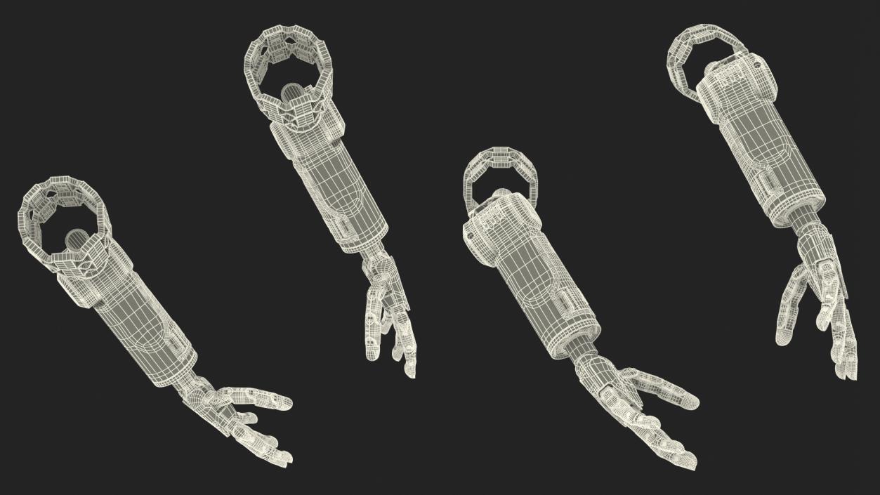 3D model Brain Controlled Prosthetic Limbs Rigged