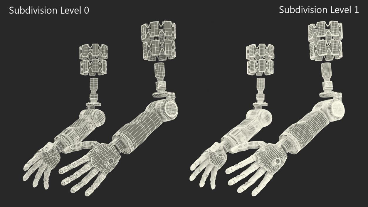 3D model Brain Controlled Prosthetic Limbs Rigged