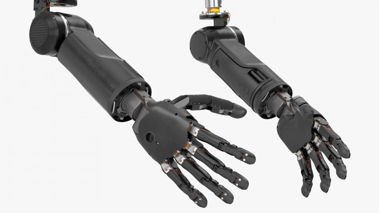 3D model Brain Controlled Prosthetic Limbs Rigged