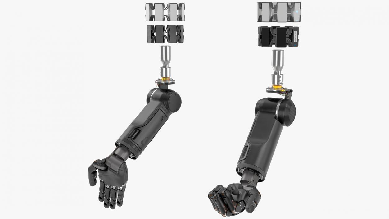 3D model Brain Controlled Prosthetic Limbs Rigged