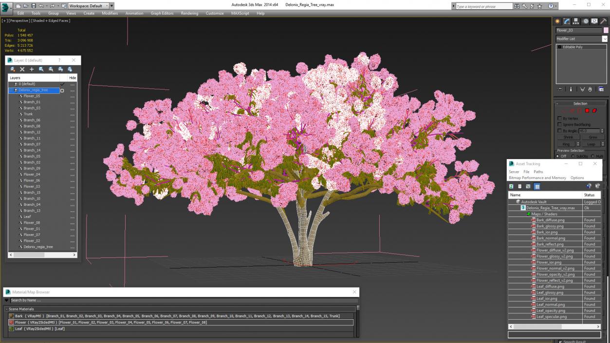 3D Delonix Regia Tree model