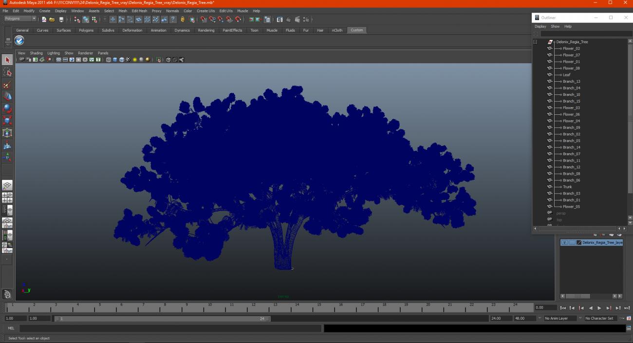 3D Delonix Regia Tree model