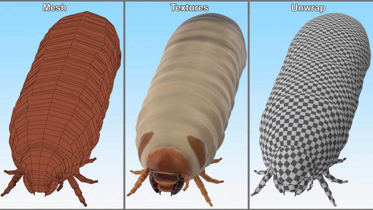 Maggot May Bug 3D model