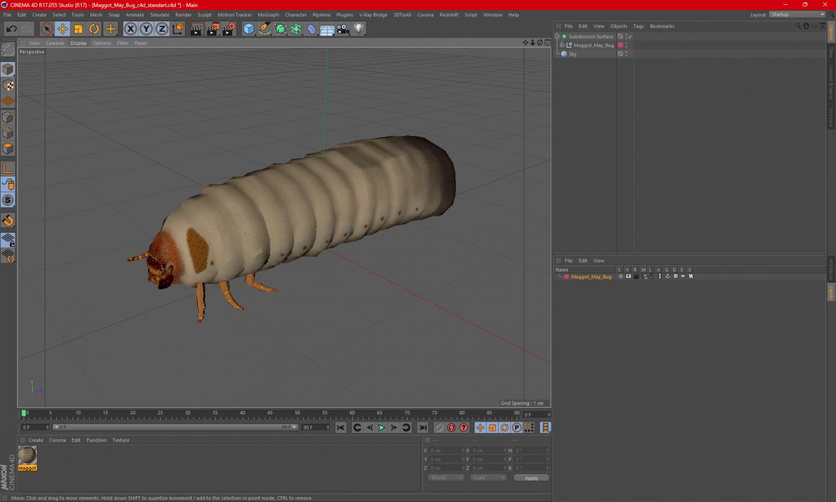 Maggot May Bug 3D model