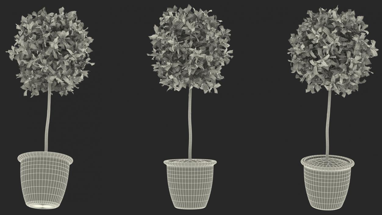 3D Holly Pot Plant with Berries model