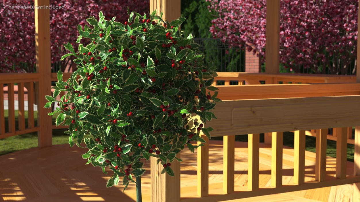 3D Holly Pot Plant with Berries model