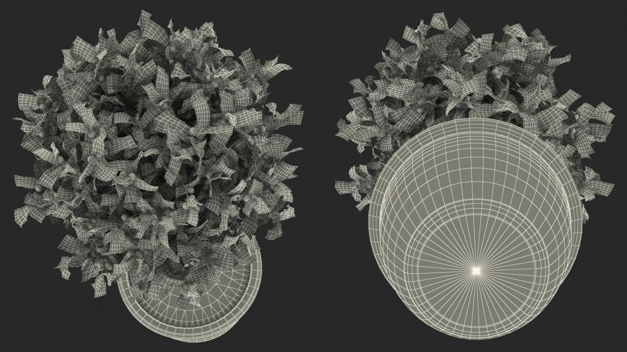 3D Holly Pot Plant with Berries model