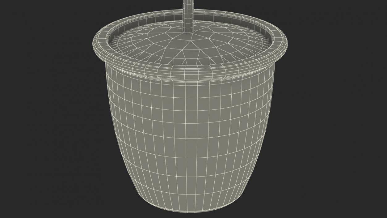 3D Holly Pot Plant with Berries model