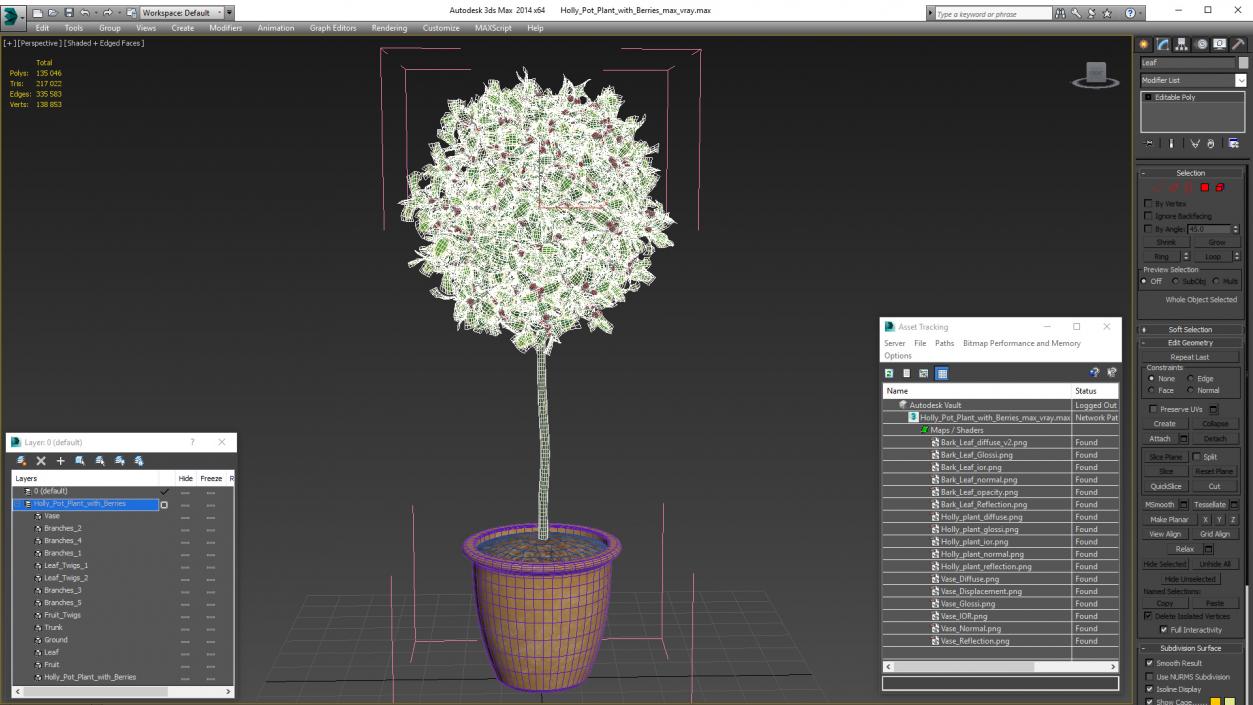 3D Holly Pot Plant with Berries model