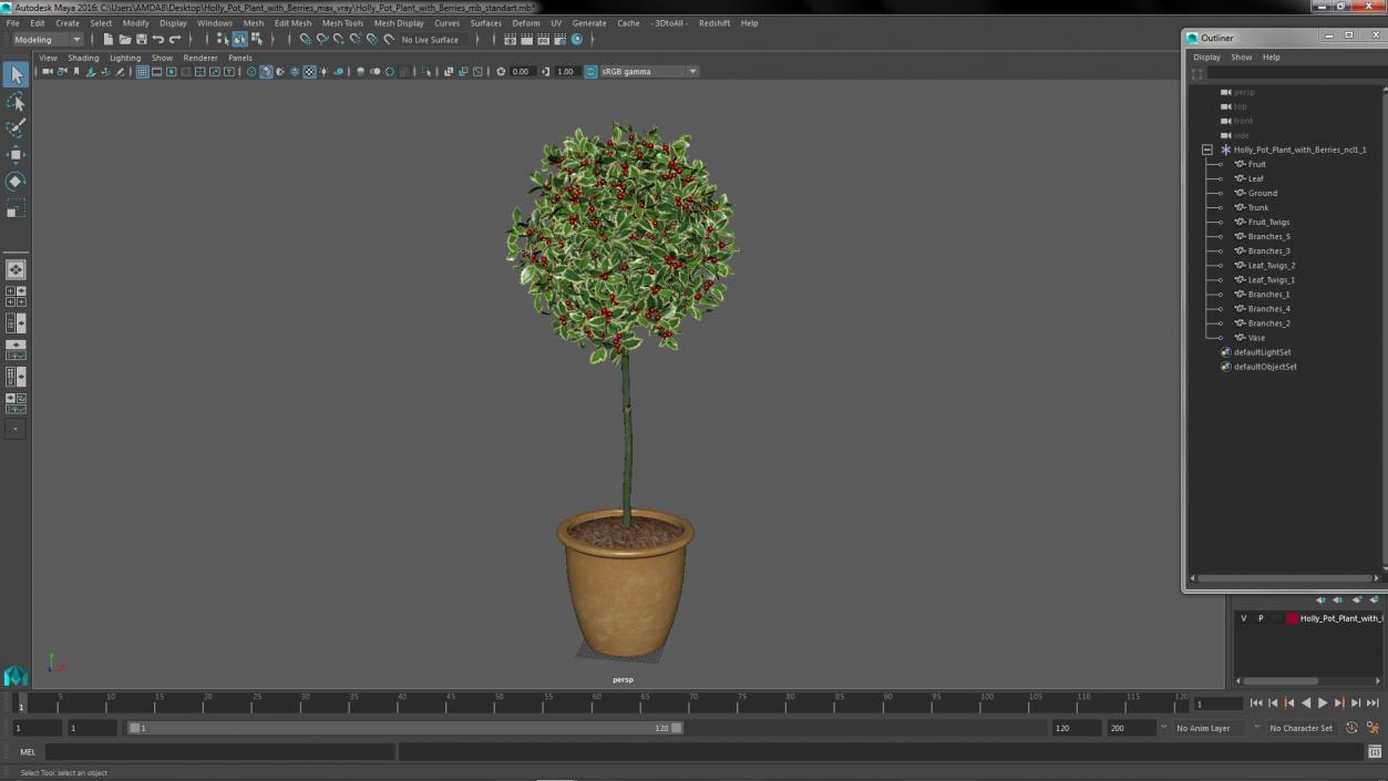 3D Holly Pot Plant with Berries model