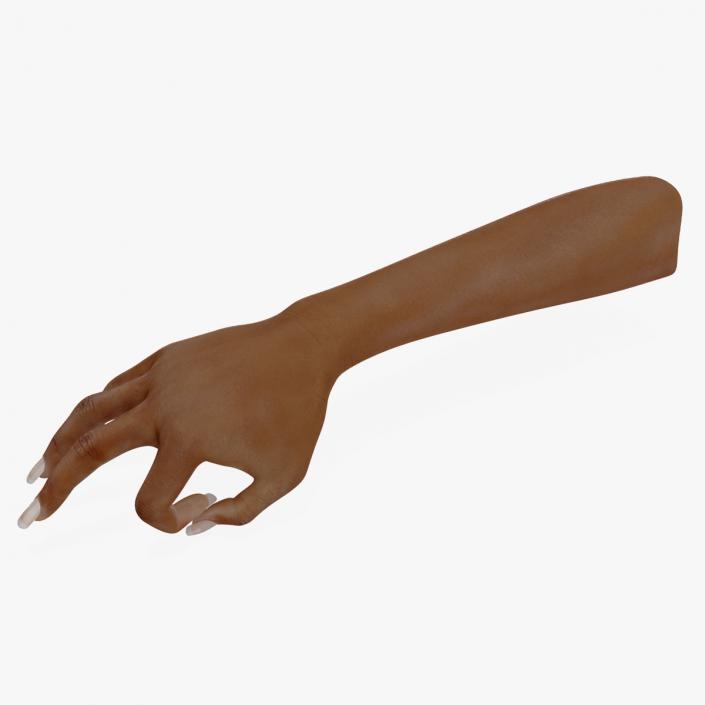 Brown Skinned Woman Hand OK Pose 3D