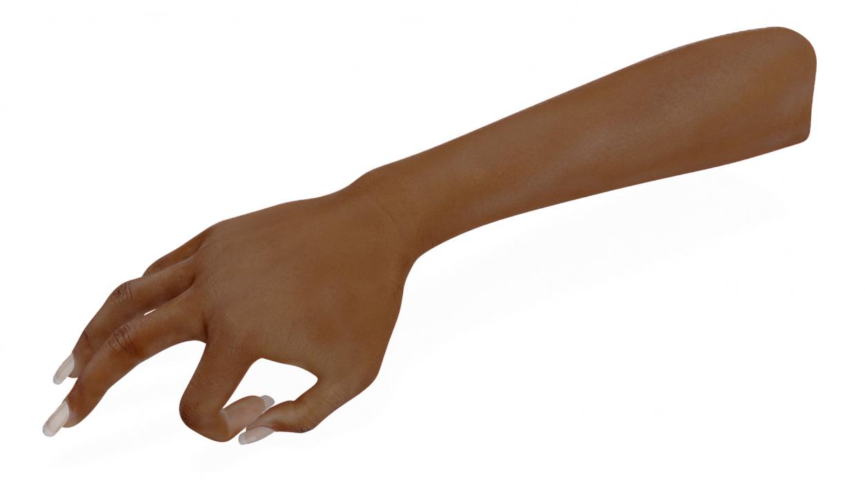 Brown Skinned Woman Hand OK Pose 3D