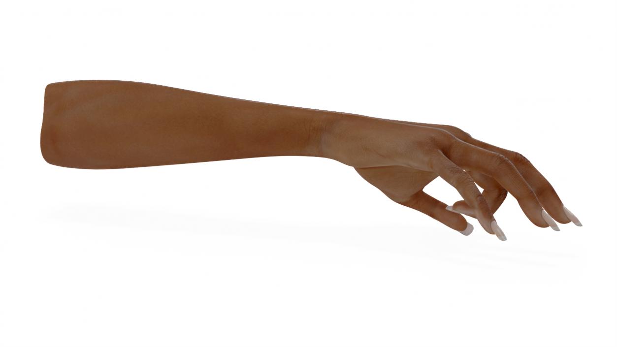 Brown Skinned Woman Hand OK Pose 3D