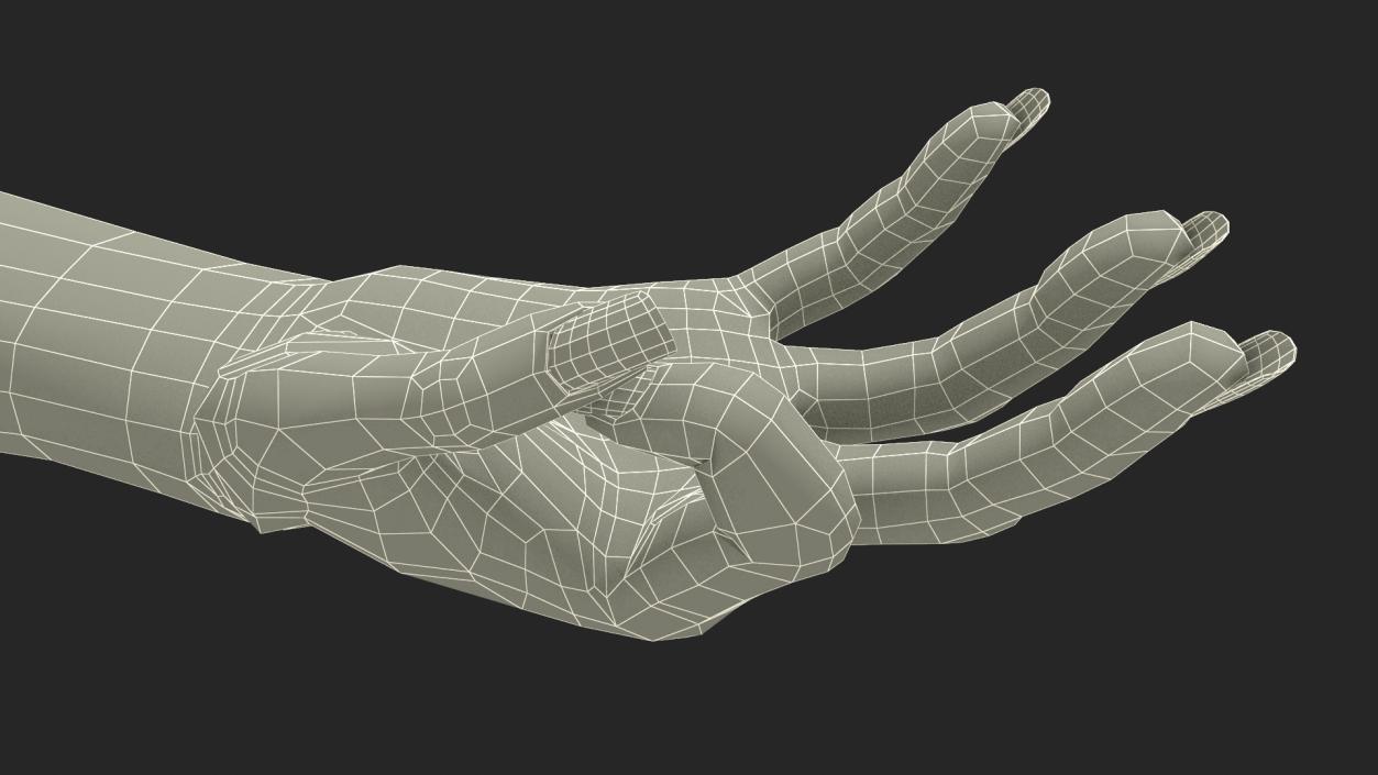 Brown Skinned Woman Hand OK Pose 3D