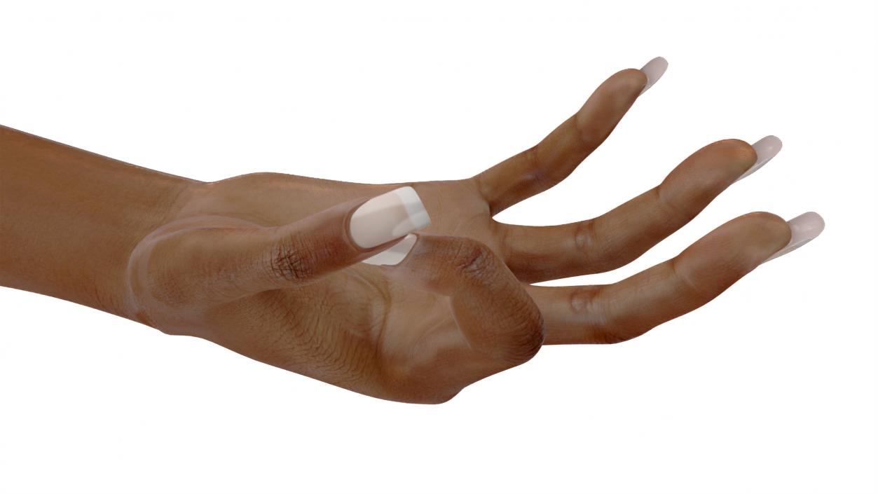 Brown Skinned Woman Hand OK Pose 3D