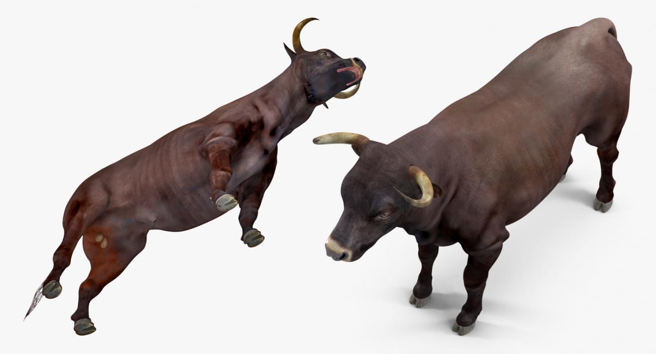 3D model Bull