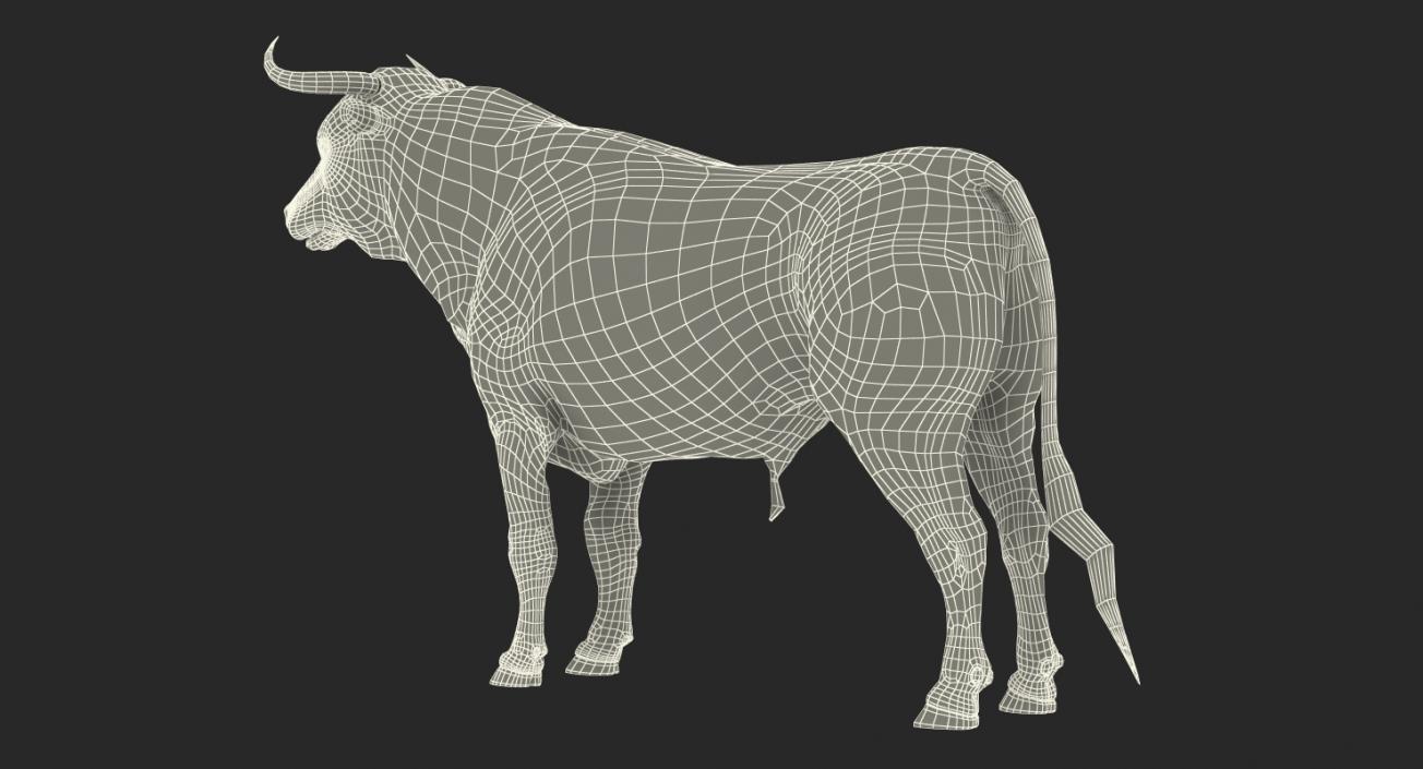 3D model Bull