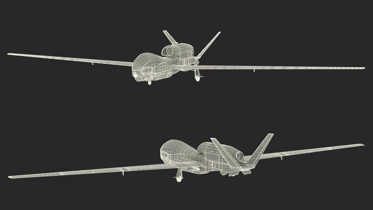 3D model Ground Surveillance Remotely Piloted Aircraft