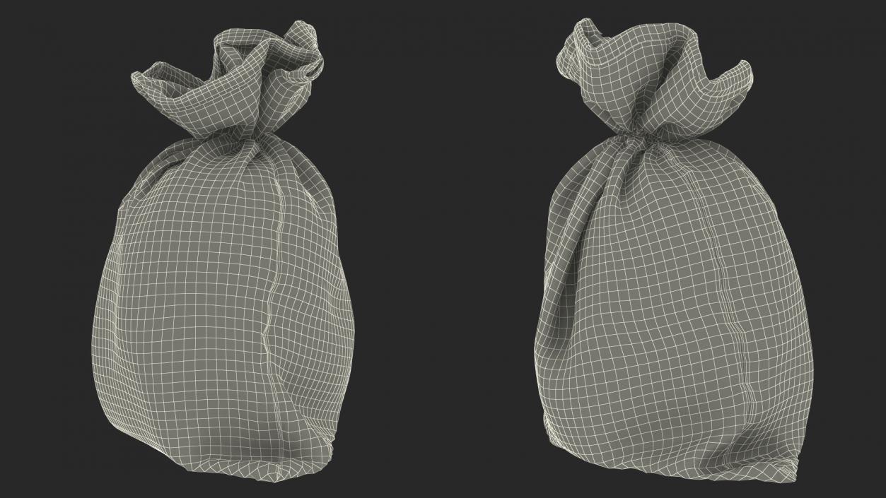 3D Burlap Sack Tied Closed model