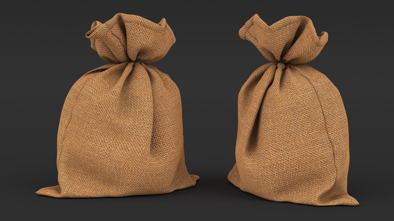 3D Burlap Sack Tied Closed model